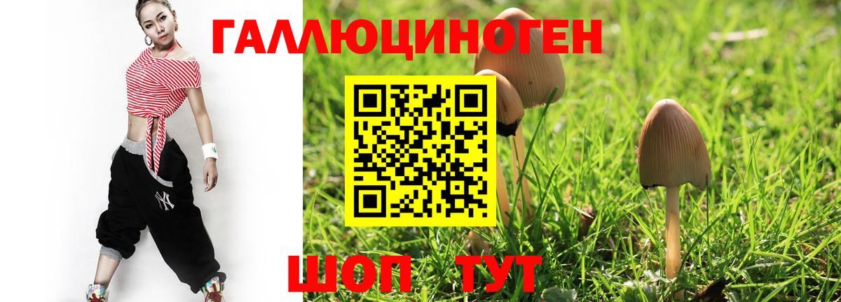 Назарово  Псилоцибиновые грибы MAGIC MUSHROOMS  Вход с VPN 